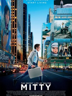 白日梦想家 The Secret Life of Walter Mitty (2013)