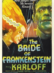 科学怪人的新娘 Bride of Frankenstein (1935)