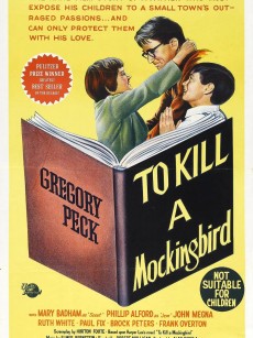 杀死一只知更鸟 To Kill a Mockingbird (1962)