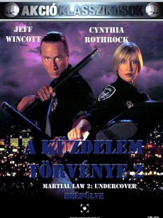 卧底飞龙2 Martial Law II: Undercover (1992)