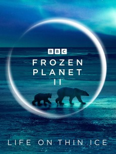 冰冻星球 第二季 Frozen Planet Season 2 (2022)
