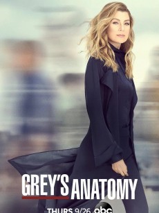 实习医生格蕾 第十六季 Grey’s Anatomy Season 16 (2019)