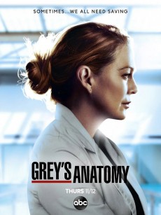 实习医生格蕾 第十七季 Grey’s Anatomy Season 17 (2020)