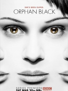 黑色孤儿 第一季 Orphan Black Season 1 (2013)