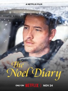 圣诞日记 The Noel Diary (2022)