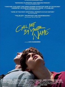 请以你的名字呼唤我 Call Me by Your Name (2017)