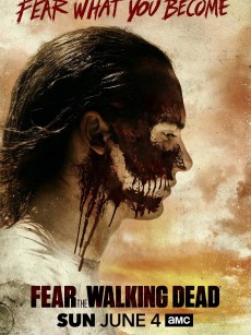 行尸之惧 第三季 Fear the Walking Dead Season 3 (2017)