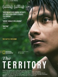 领地 The Territory (2022)