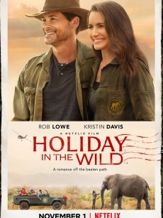 野外圣诞节 Holiday in the Wild (2019)