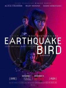 惊弓之鸟 Earthquake Bird (2019)