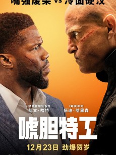 唬胆特工 The Man from Toronto (2022)