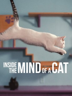喵星人的奇思妙想 Inside the Mind of a Cat (2022)