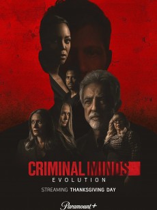 犯罪心理：演变 第十六季 Criminal Minds: Evolution Season 16 (2022)