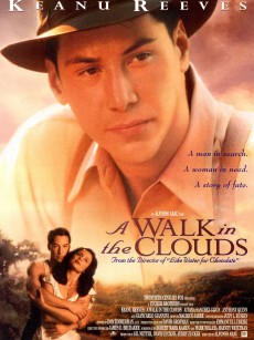 云中漫步 A Walk in the Clouds (1995)