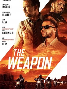 致命武器 The Weapon (2023)