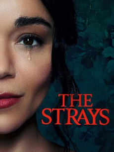 流浪者 The Strays (2023)