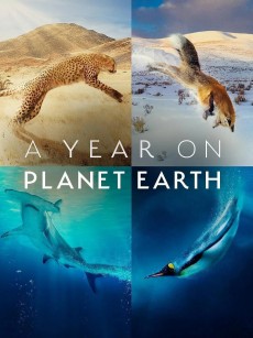 地球上的一年 A Year on Planet Earth (2022)