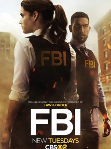 联邦调查局 第1-4季 FBI Season 1-5 (2018-2021)