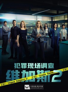 犯罪现场调查：维加斯 第二季 CSI: Vegas Season 2 (2022)