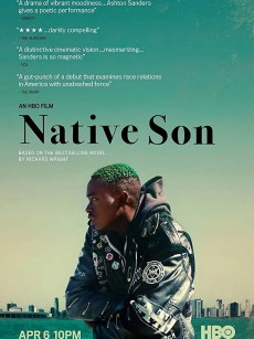 土生子 Native Son (2019)