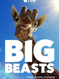 巨兽 Big Beasts (2023)