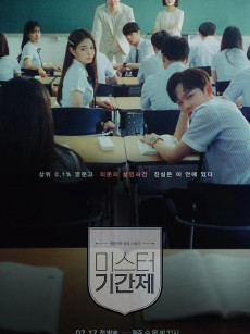 临时制先生 미스터 기간제 (2019)