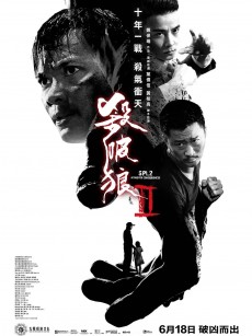 杀破狼2 殺破狼2 (2015)