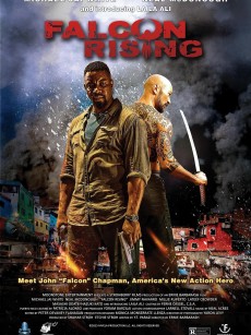 猎鹰突起 Falcon Rising (2014)