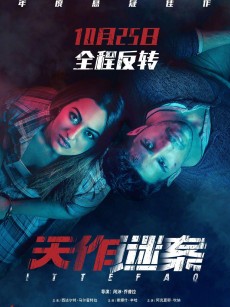 天作谜案 Ittefaq (2017)