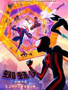 蜘蛛侠：纵横宇宙 Spider-Man: Across the Spider-Verse (2023)