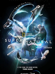 超凡动物奇观 Super/Natural (2022)