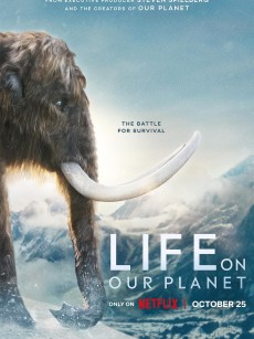 我们星球上的生命 Life on Our Planet (2023)