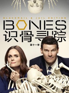 识骨寻踪 第十一季 Bones Season 11 (2015)