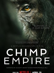 黑猩猩帝国 Chimp Empire (2023)