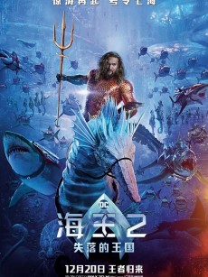 海王2：失落的王国 Aquaman and the Lost Kingdom (2023)