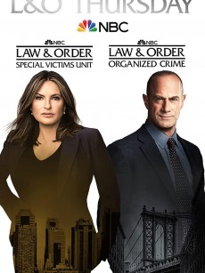 法律与秩序：特殊受害者 第二十三季 Law & Order: Special Victims Unit Season 23 (2021)