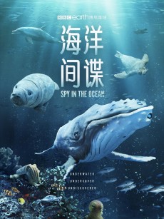 海洋间谍 Spy in the Ocean (2023)