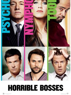 恶老板 Horrible Bosses (2011)