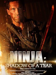 忍者2：撕裂的暗影 Ninja: Shadow of a Tear (2013)