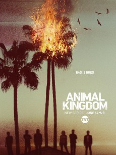 野兽家族 第一季 Animal Kingdom Season 1 (2016)