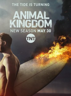 野兽家族 第二季 Animal Kingdom Season 2 (2017)