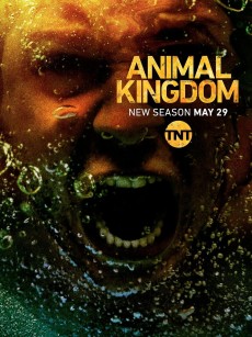 野兽家族 第三季 Animal Kingdom Season 3 (2018)