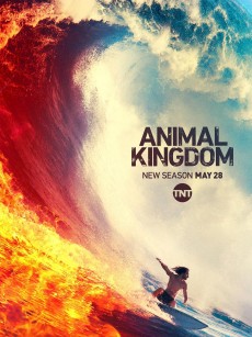 野兽家族 第四季 Animal Kingdom Season 4 (2019)