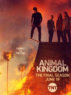 野兽家族 第六季 Animal Kingdom Season 6 (2022)