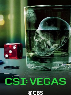 犯罪现场调查：维加斯 第三季 CSI: Vegas Season 3 (2024)