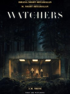 神秘窥视 The Watchers (2024)