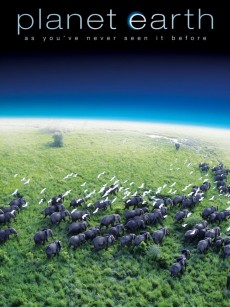 地球脉动 第一季 Planet Earth Season 1 (2006)