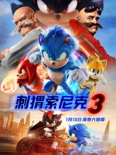 刺猬索尼克3 Sonic the Hedgehog 3 (2024)