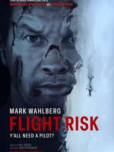 插翅难飞 Flight Risk (2025)