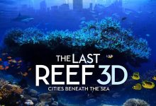 最后的珊瑚礁 The Last Reef: Cities Beneath the Sea (2012)